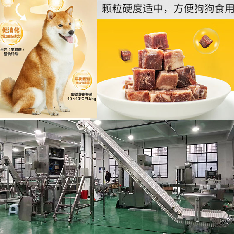 寵物午夜电影网站設備