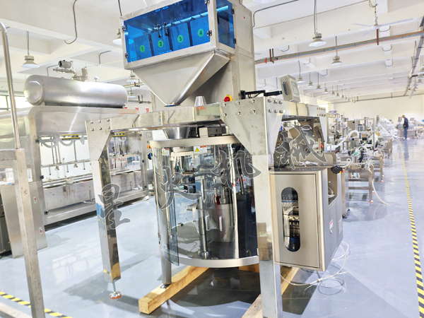 給袋式顆粒包裝機