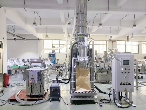 新臥式雙螺旋25公斤粉劑整套包裝機