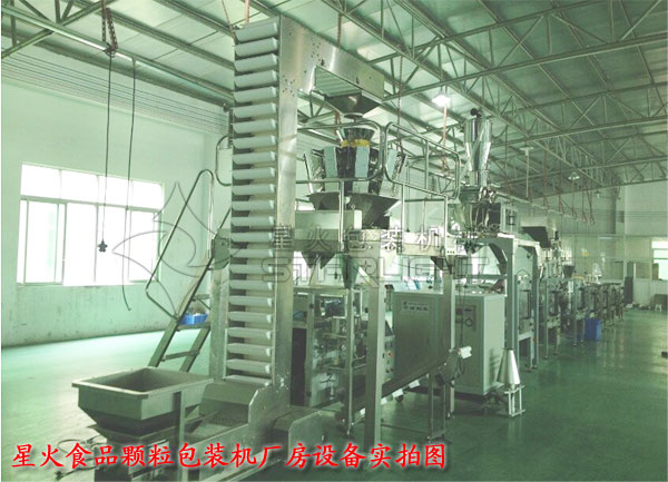 藍莓幹午夜电影网站-全自動食品顆粒包裝機