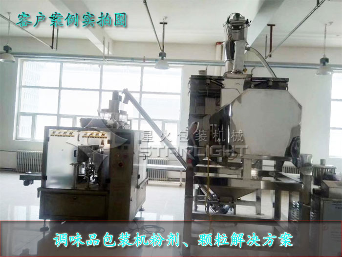 調味品包裝機粉劑、顆粒解決方案